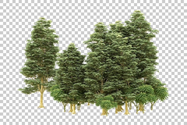 Foresta realistica isolata su sfondo trasparente illustrazione di rendering 3d