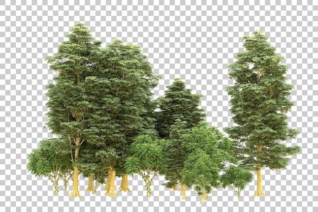 Foresta realistica isolata su sfondo trasparente illustrazione di rendering 3d