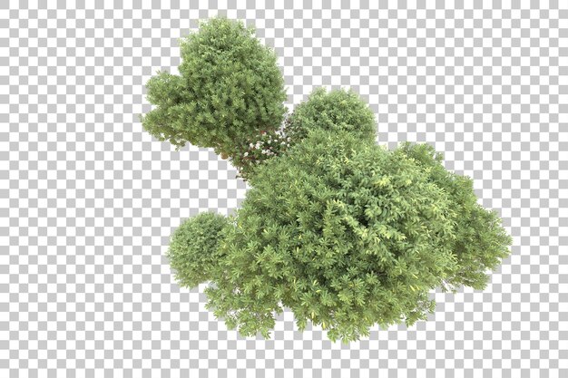 Foresta realistica isolata su sfondo trasparente illustrazione di rendering 3d