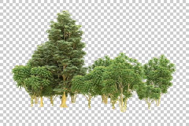 Foresta realistica isolata su sfondo trasparente illustrazione di rendering 3d