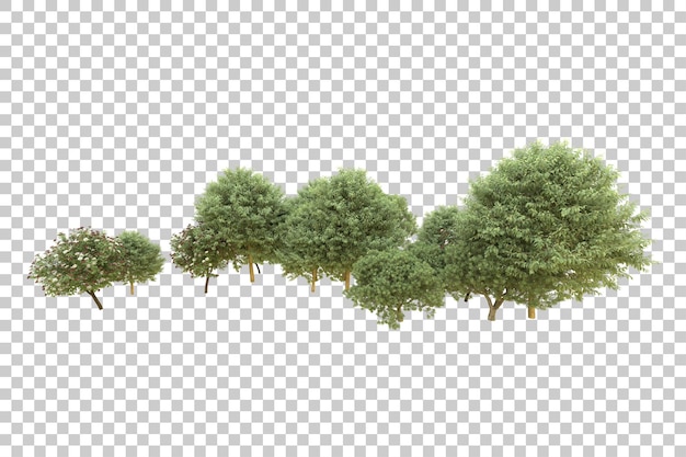 Foresta realistica isolata su sfondo trasparente illustrazione di rendering 3d