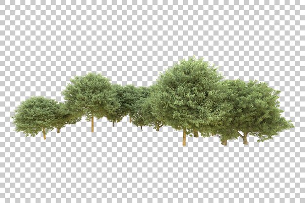 Foresta realistica isolata su sfondo trasparente illustrazione di rendering 3d