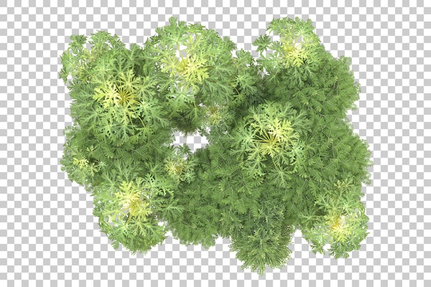 Foresta realistica isolata su sfondo trasparente illustrazione di rendering 3d