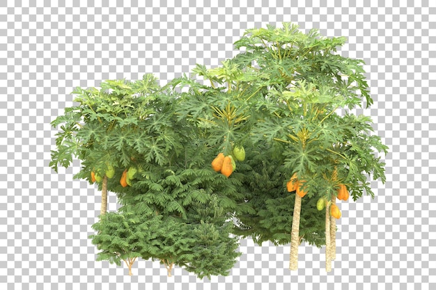 Foresta realistica isolata su sfondo trasparente illustrazione di rendering 3d