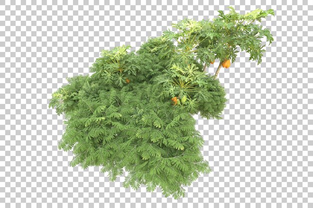 Foresta realistica isolata su sfondo trasparente illustrazione di rendering 3d