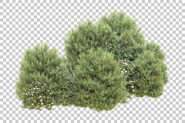 Foresta realistica isolata su sfondo trasparente illustrazione di rendering 3d