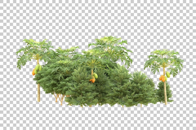 Foresta realistica isolata su sfondo trasparente illustrazione di rendering 3d