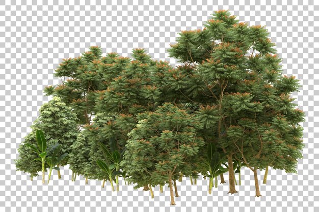 Foresta realistica isolata su sfondo trasparente illustrazione di rendering 3d