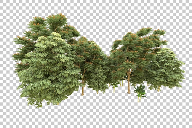 Foresta realistica isolata su sfondo trasparente illustrazione di rendering 3d