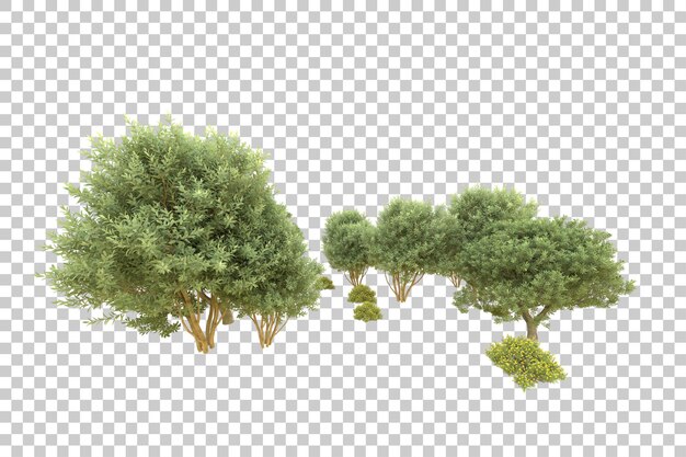 Foresta realistica isolata su sfondo trasparente illustrazione di rendering 3d