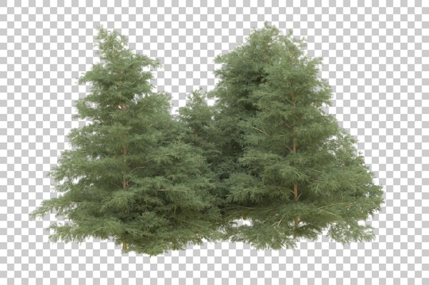 Foresta realistica isolata su sfondo trasparente illustrazione di rendering 3d