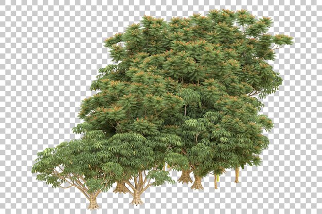 Foresta realistica isolata su sfondo trasparente illustrazione di rendering 3d