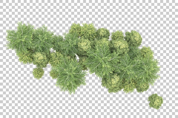 Foresta realistica isolata su sfondo trasparente illustrazione di rendering 3d