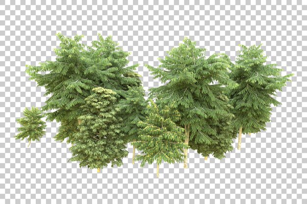 Foresta realistica isolata su sfondo trasparente illustrazione di rendering 3d
