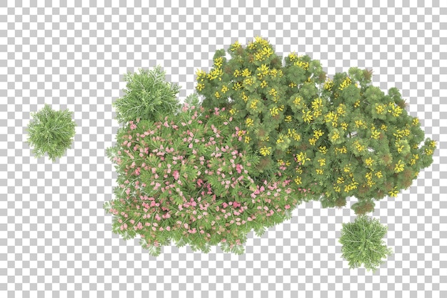 Foresta realistica isolata su sfondo trasparente illustrazione di rendering 3d