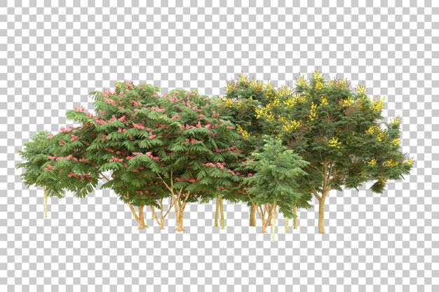 Foresta realistica isolata su sfondo trasparente illustrazione di rendering 3d