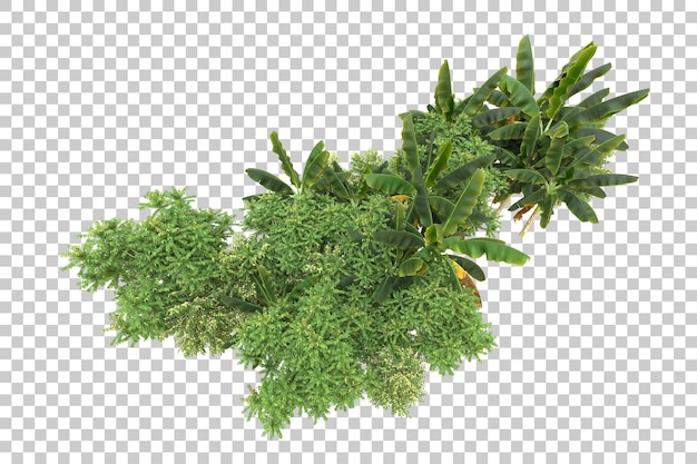 Foresta realistica isolata su sfondo trasparente illustrazione di rendering 3d