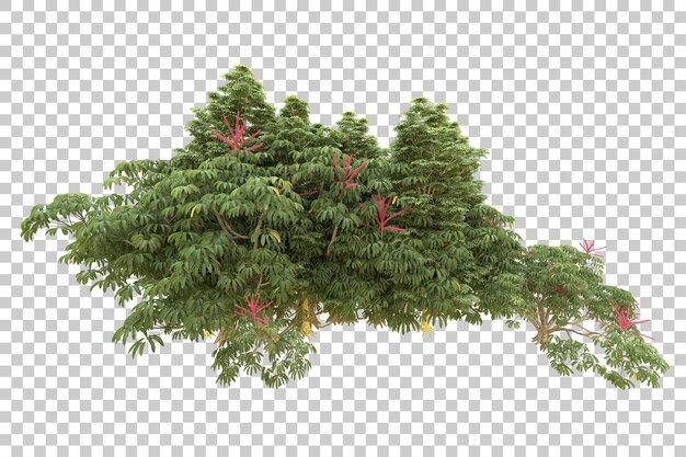 Foresta realistica isolata su sfondo trasparente illustrazione di rendering 3d