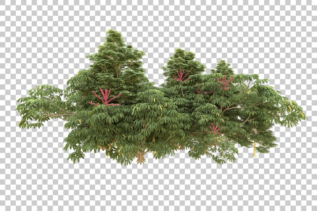 Foresta realistica isolata su sfondo trasparente illustrazione di rendering 3d