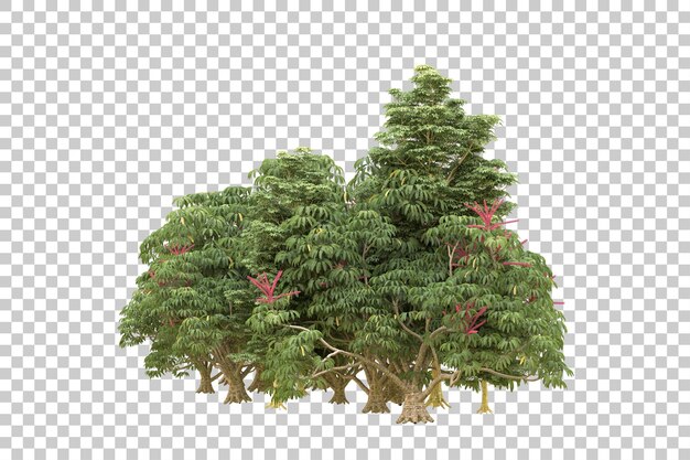 Foresta realistica isolata su sfondo trasparente illustrazione di rendering 3d