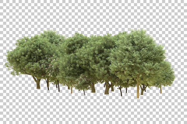 Foresta realistica isolata su sfondo trasparente illustrazione di rendering 3d