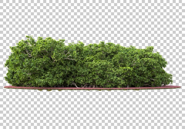 Foresta su sfondo trasparente 3d rendering illustrazione