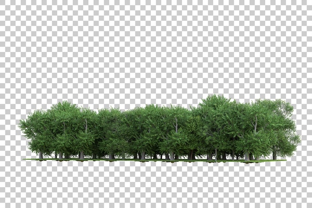 Foresta su sfondo trasparente 3d rendering illustrazione