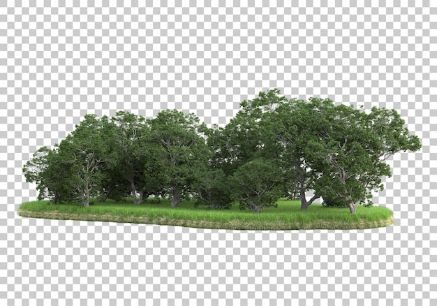 Foresta su sfondo trasparente 3d rendering illustrazione