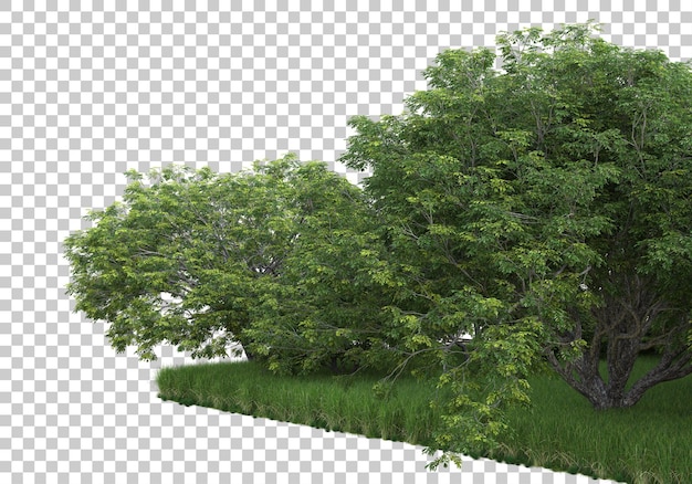 Foresta su sfondo trasparente 3d rendering illustrazione