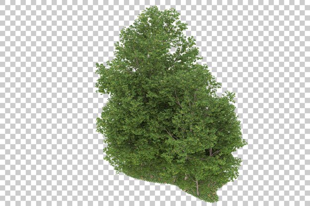 Foresta su sfondo trasparente. rendering 3D - illustrazione