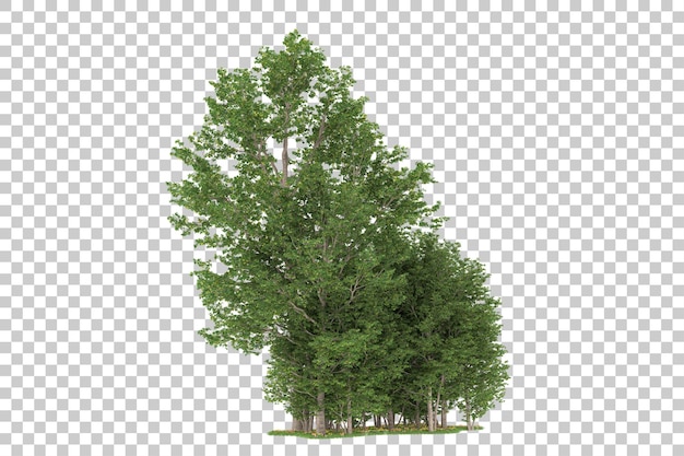 Foresta su sfondo trasparente. rendering 3D - illustrazione