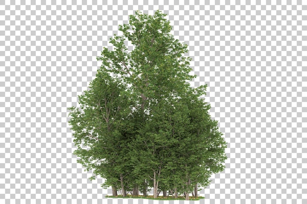 Foresta su sfondo trasparente. rendering 3D - illustrazione