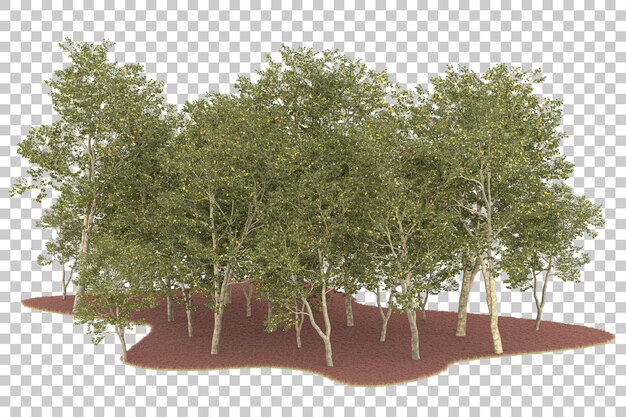 Foresta su sfondo trasparente. rendering 3D - illustrazione