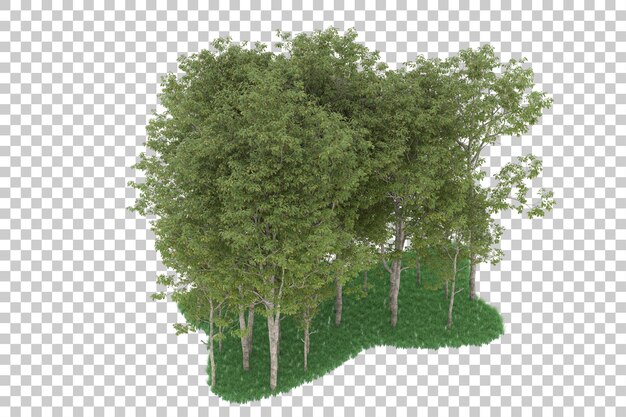 Foresta su sfondo trasparente. rendering 3D - illustrazione