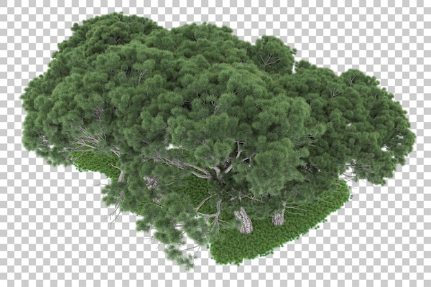 Foresta su sfondo trasparente. rendering 3D - illustrazione