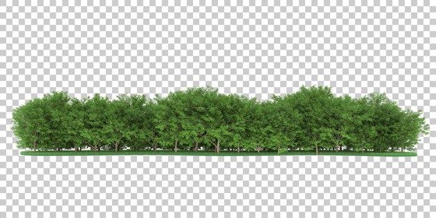 Foresta su sfondo trasparente. rendering 3D - illustrazione
