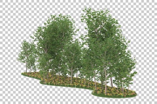 Foresta su sfondo trasparente. rendering 3D - illustrazione