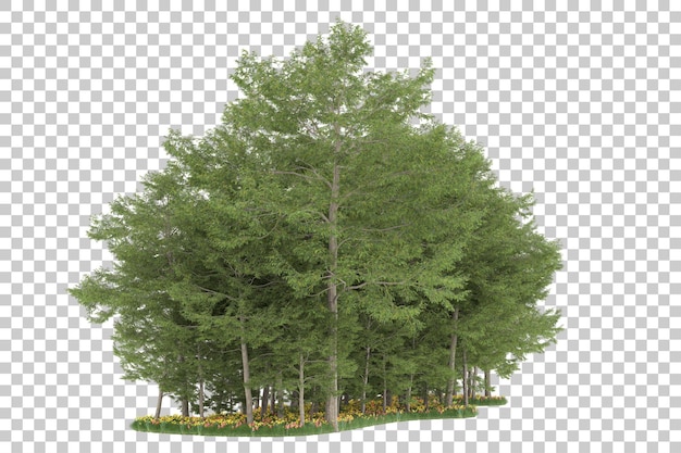 Foresta su sfondo trasparente. rendering 3D - illustrazione