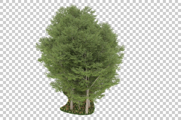 Foresta su sfondo trasparente. rendering 3D - illustrazione