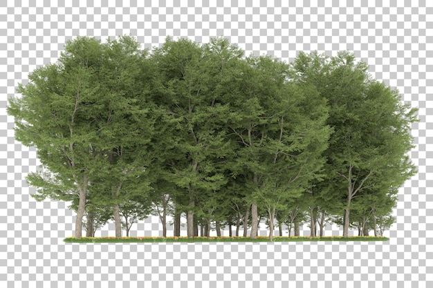 Foresta su sfondo trasparente. rendering 3D - illustrazione
