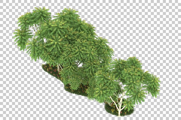 Foresta su sfondo trasparente. rendering 3D - illustrazione