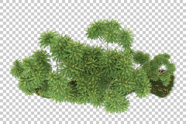 Foresta su sfondo trasparente. rendering 3D - illustrazione