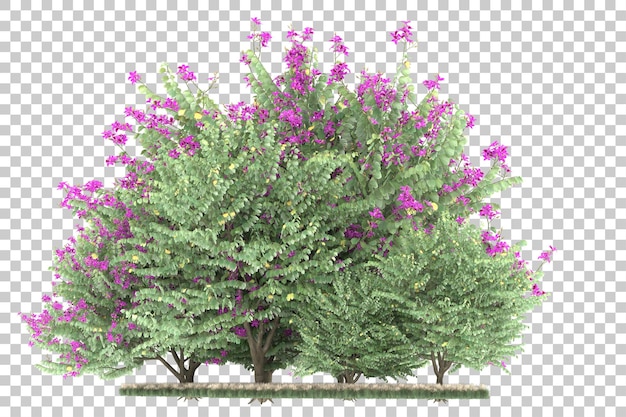 Foresta su sfondo trasparente. rendering 3D - illustrazione