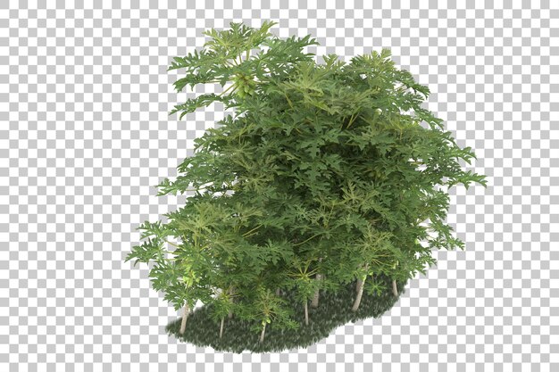 Foresta su sfondo trasparente. rendering 3D - illustrazione