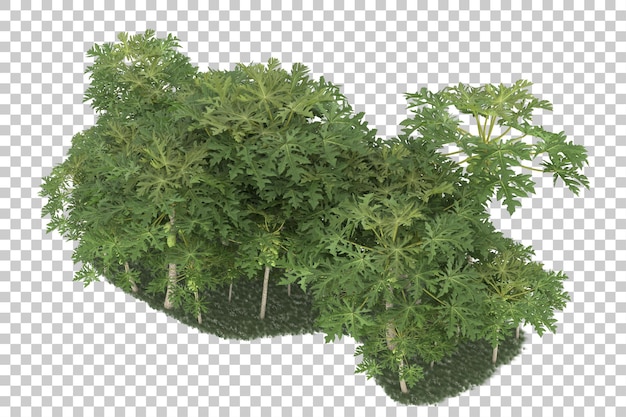 Foresta su sfondo trasparente. rendering 3D - illustrazione