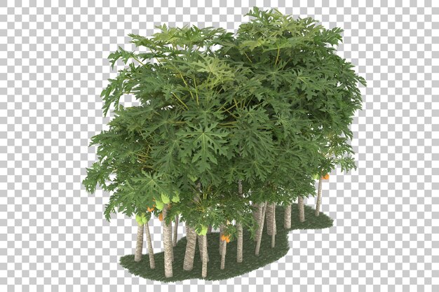 Foresta su sfondo trasparente. rendering 3D - illustrazione