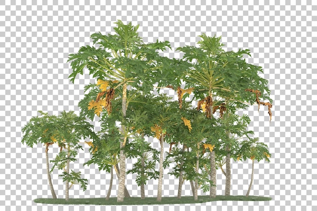 Foresta su sfondo trasparente. rendering 3D - illustrazione