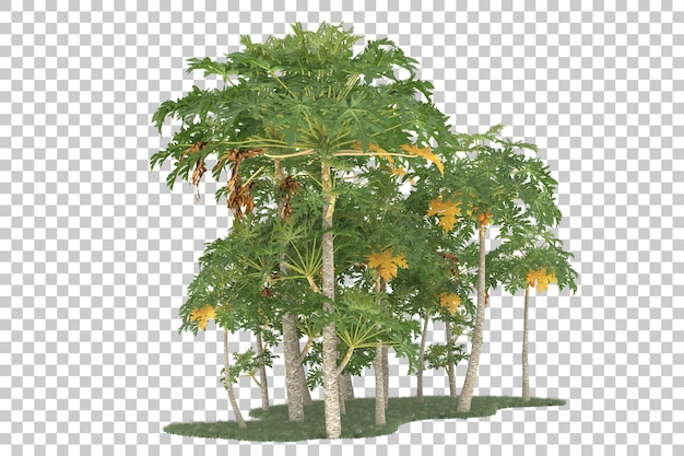 Foresta su sfondo trasparente. rendering 3D - illustrazione
