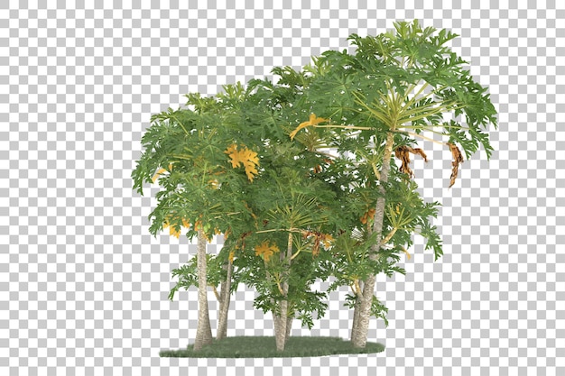 Foresta su sfondo trasparente. rendering 3D - illustrazione