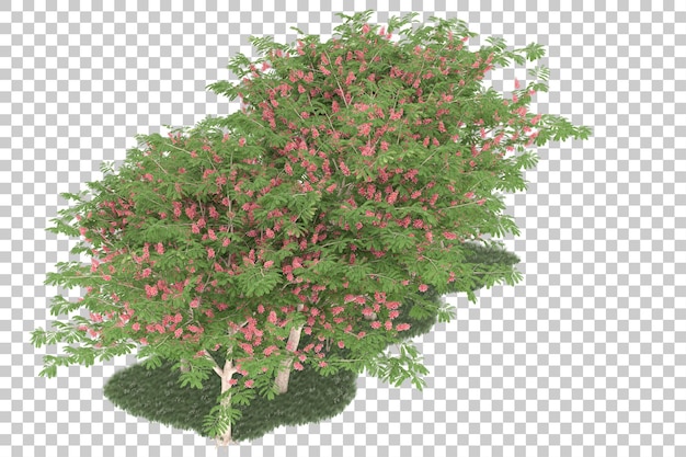 Foresta su sfondo trasparente. rendering 3D - illustrazione